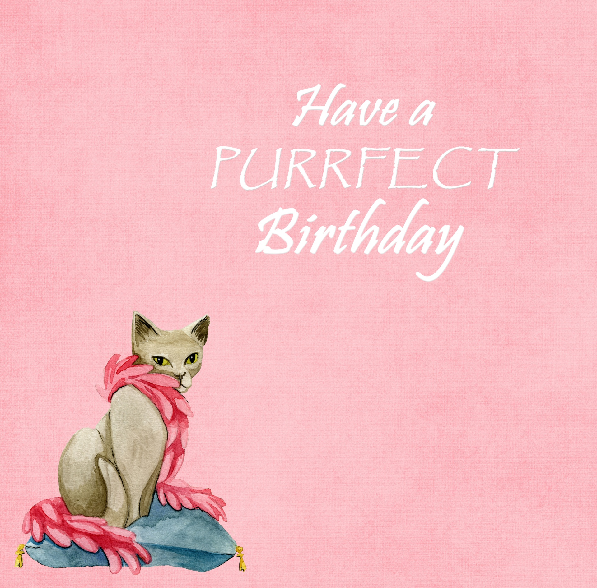 cat-watercolor-birthday-card-free-stock-photo-public-domain-pictures