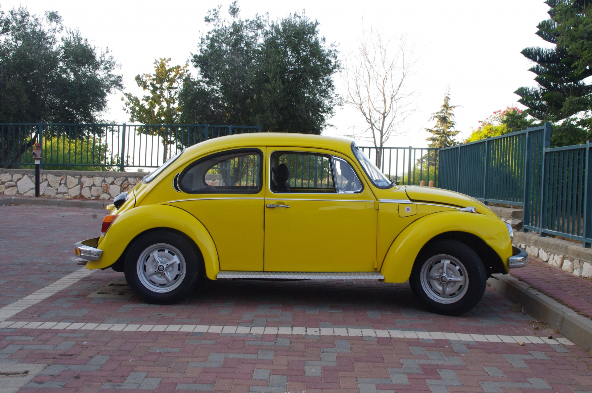 old beetle