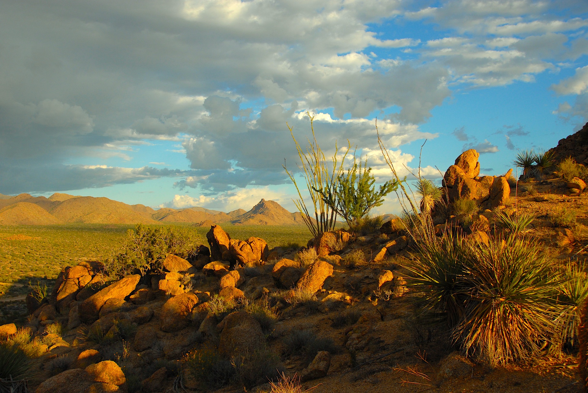 The Geologic Origin Of The Sonoran Desert