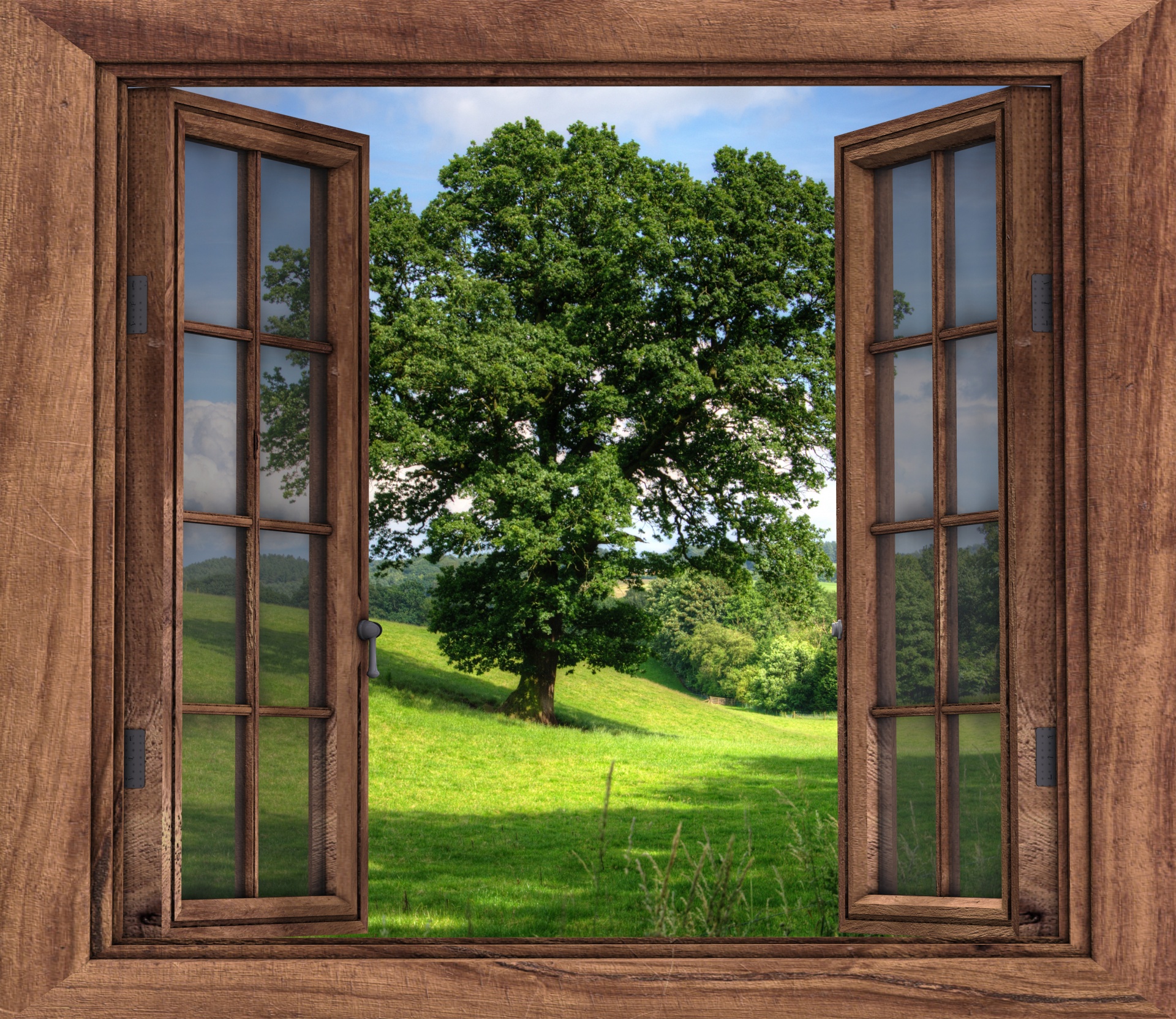 Vista da paisagem da Ã¡rvore da janela