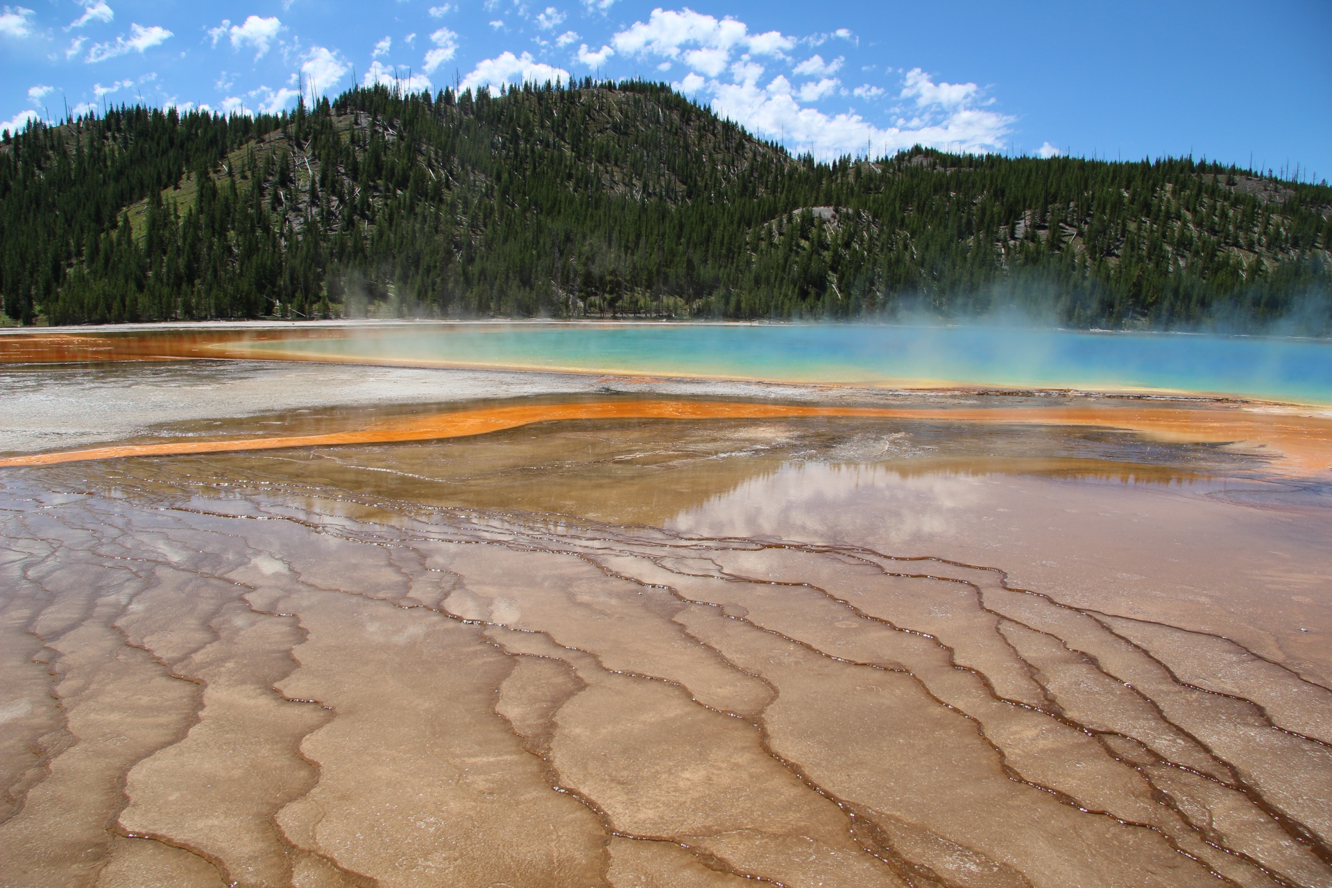 Hot Springs Yellowstone National Park Photograph By Garry Gay