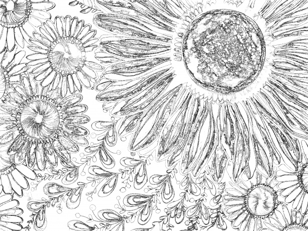 Black And White Flower Sketch Free Stock Photo - Public Domain Pictures