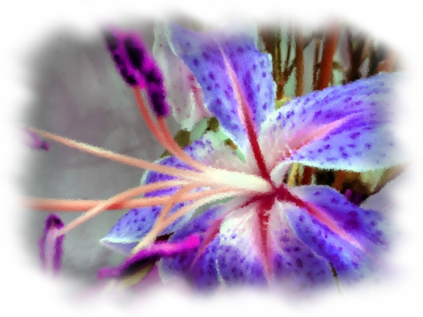 Fleur de Lys bleu Photo stock libre - Public Domain Pictures