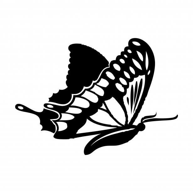 Butterfly Clipart Free Stock Photo - Public Domain Pictures
