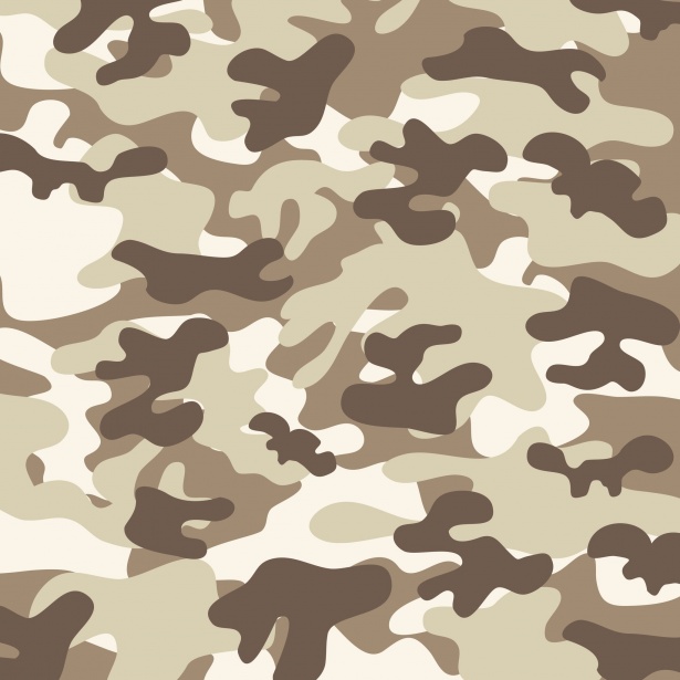 camouflage-pattern-free-stock-photo-public-domain-pictures