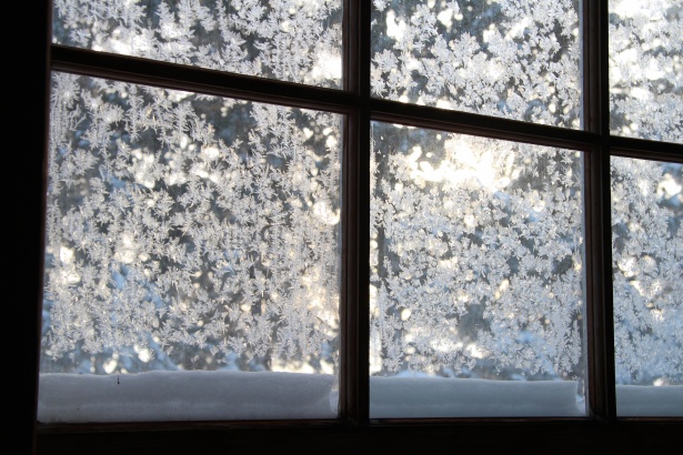 frosted living room windows
