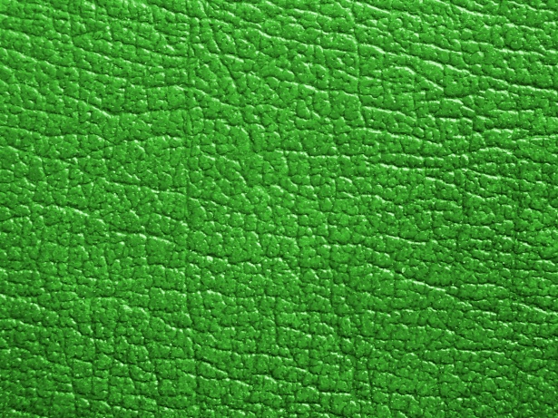 https://www.publicdomainpictures.net/pictures/250000/nahled/green-leather-effect-background.jpg