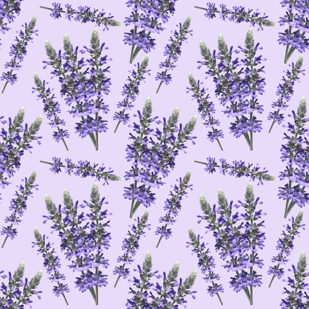 Lavender Flowers Background Pattern Free Stock Photo - Public Domain  Pictures