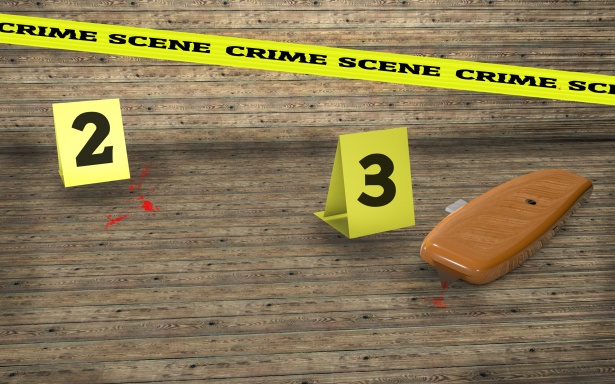Image result for crime scene"