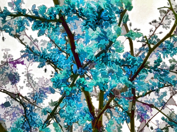 ターコイズブルーの花の背景 無料画像 Public Domain Pictures