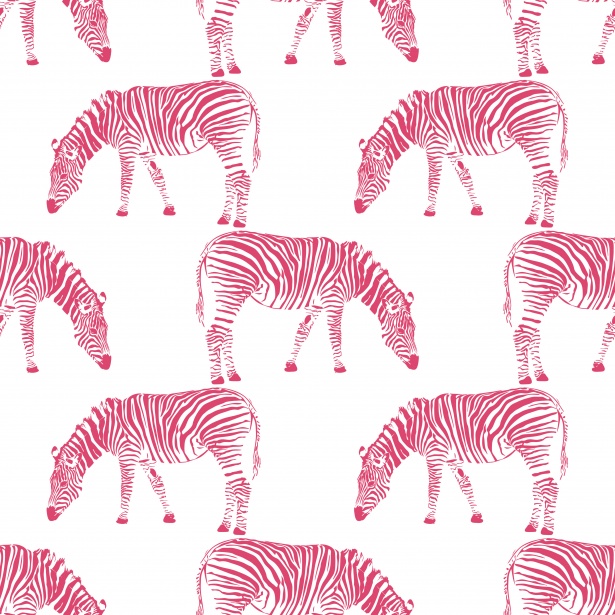 zebra wallpaper