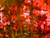 Abstrakter Hintergrund Rot