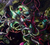 Abstract Vines and Pods