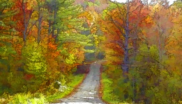 Podzimní venkovská cesta