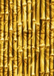 Bambus Hintergrund Gold
