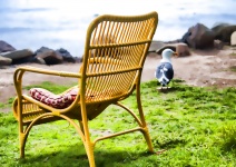 Beach chair and the Gull