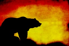Bear at Sunset Silhouette