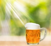 Bier in Pint Glas