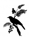 Fågelsilhouette Clipart
