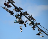 Vogels en sneakers op draad