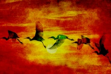 Birds Sunset Vintage festészet