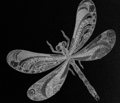 Schizzo di libellula in bianco e nero
