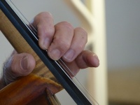 Cellist Fingers