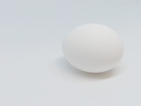 Uovo bianco del primo piano