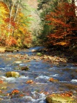 Ruisseau en automne