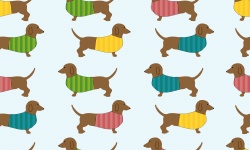 Dackel Hund Wallpaper Hintergrund