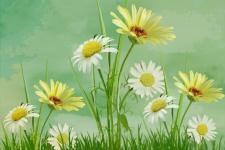 Daisy Flowers schilderij