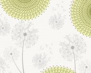 Dandelion Flowers Floral Background