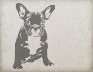 Fondo de perro Bulldog Vintage