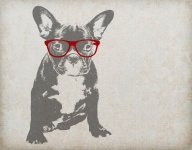 Pies w okularach ilustracji