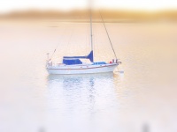 Dream Sail Boat