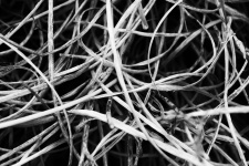 Dried grass in black and white