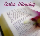 Ostern Morgen Bibel Schrift