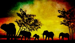 Vintage tramonto dipinto di elefante