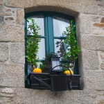 Window and decoration