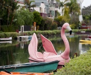 Flamingo-Boot