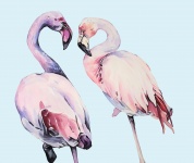 Pintura em Aquarela Flamingo