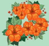 Flores Hibisco Naranja