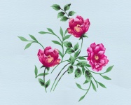 Virágok akvarell háttér