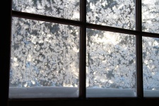 Frosted Windows