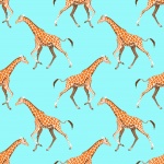 Papel de Parede de Fundo de Girafa