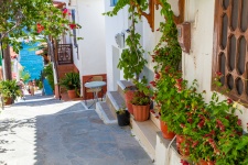 Greek Street With Flowers