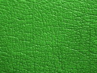 Ecran din piele de fundal verde