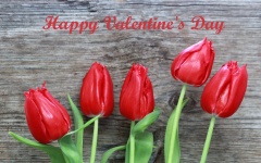 Ziua Îndrăgostiților Valentine's Day
