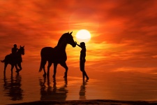 Silueta koní při západu slunce