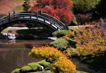Podul grădinii japoneze